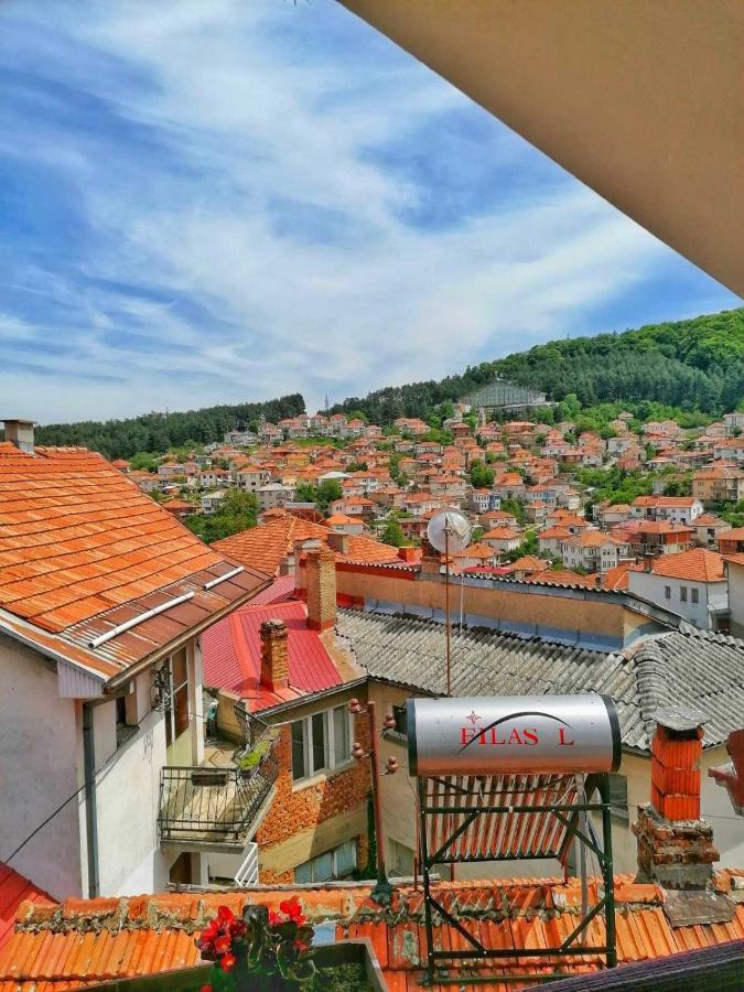 ***Vila Tose D. Kruševo Εξωτερικό φωτογραφία